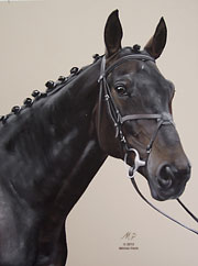 Michal Pech - portréty koní