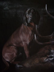 Michal Pech - portréty psů