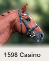 Plemenný hřebec 1598 Casino