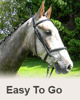 Easy To Go - prodaný kůň - obchodní stáj - Jezdecký klub Mariánské Lázně