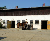 Jezdecký klub Mariánské Lázně - malá stáj