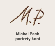 Michal Pech - portréty koní