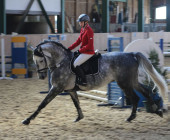 Podzimní Mariánskolázeňské skoky 2013 - Jezdecký klub Mariánské Lázně