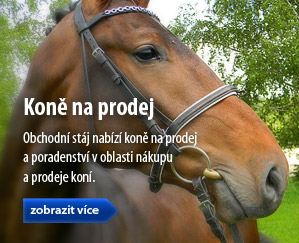 Koně na prodej