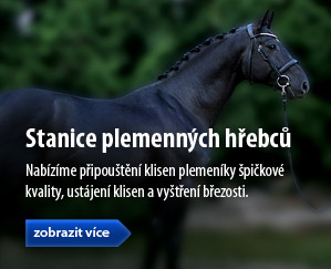 Stanice plemenných hřebců